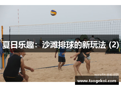 夏日乐趣：沙滩排球的新玩法 (2)