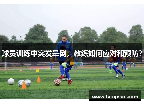 球员训练中突发晕倒，教练如何应对和预防？