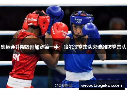 奥运会升降级附加赛第一手：哈尔滨拳击队突破潍坊拳击队