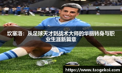 DIII彩乐园官网