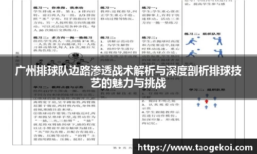 广州排球队边路渗透战术解析与深度剖析排球技艺的魅力与挑战